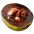 Black Sapote