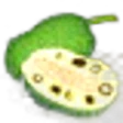 Breadnut