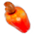 Cashew