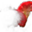 Celosia