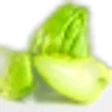 Chayote