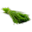Chive