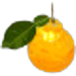 Citron Leaf