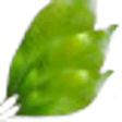 Clove Leaf