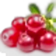 Cranberry
