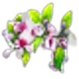 Fig Blossom