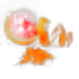 Grapefruit Peel