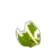 Honeysuckle