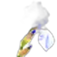 Iris Pallida