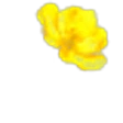 Jarana Flower
