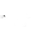 Kanuka