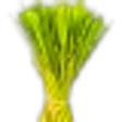 Lemongrass