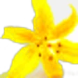 Lysylang