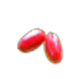 Miracle berry