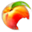 Peach Cream