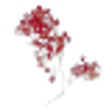 Peppertree