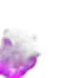 Phlox