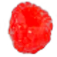 Red Mulberry