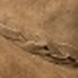 Suede