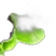 Violet Leaf