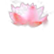 Water Flowers